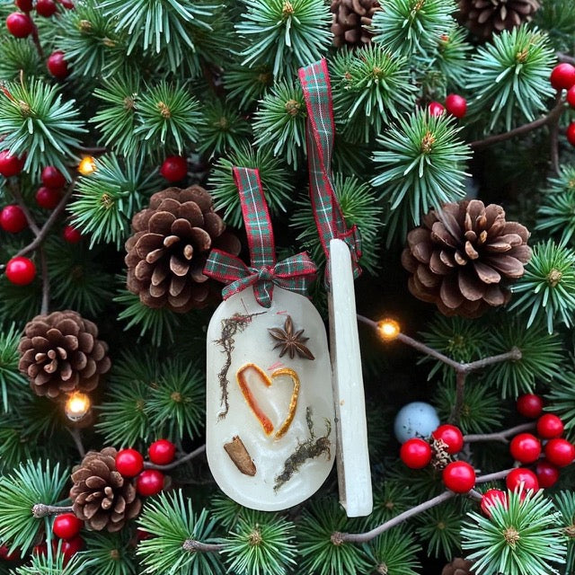 Christmas Tree hanging wax melts